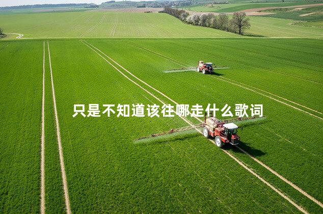 只是不知道该往哪走什么歌词