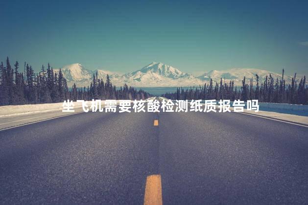 坐飞机需要核酸检测纸质报告吗