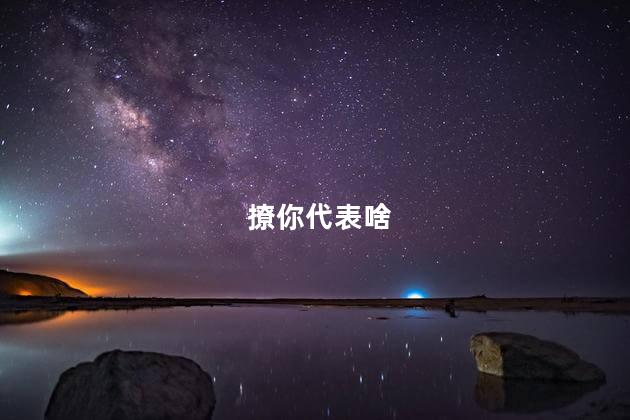撩你代表啥