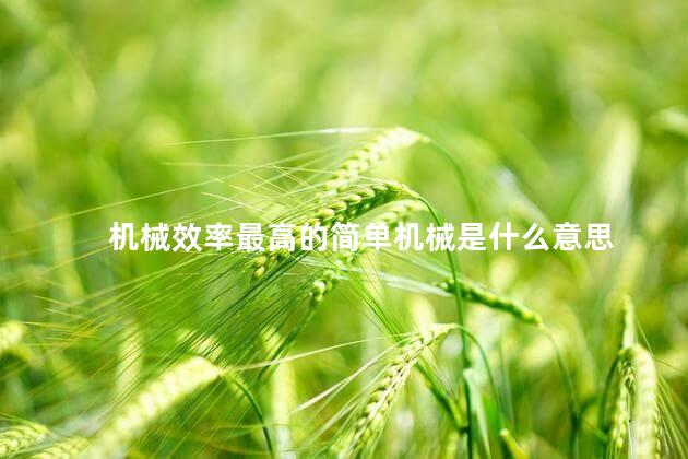 机械效率最高的简单机械是什么意思