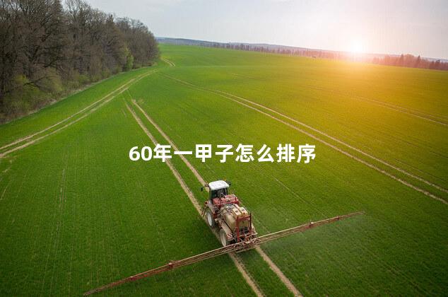 60年一甲子怎么排序