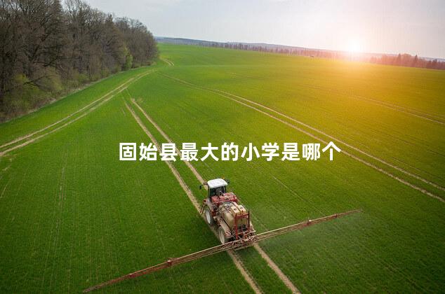 固始县最大的小学是哪个