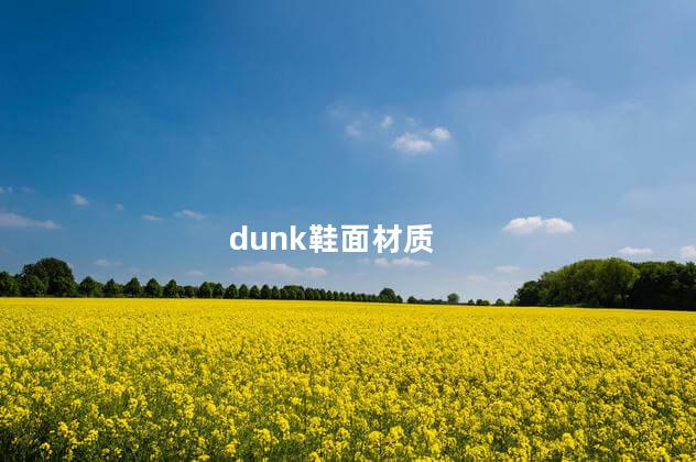 dunk鞋面材质