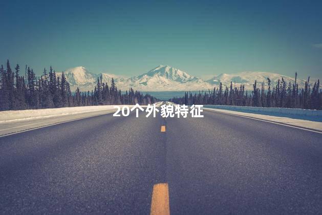 20个外貌特征