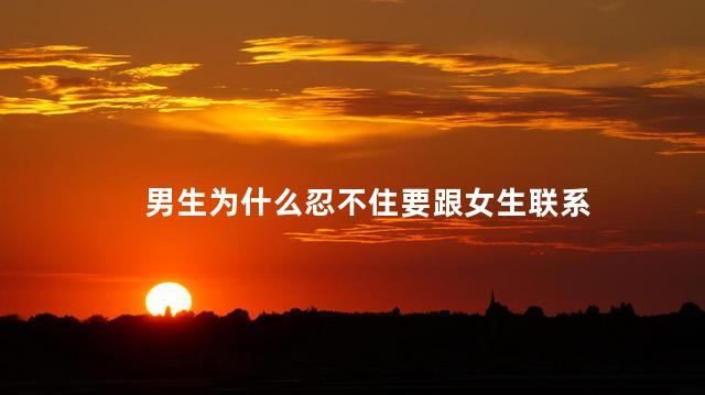 男生为什么忍不住要跟女生联系