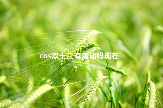 cos双十二有活动吗现在