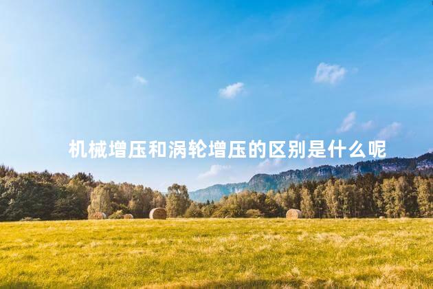 机械增压和涡轮增压的区别是什么呢