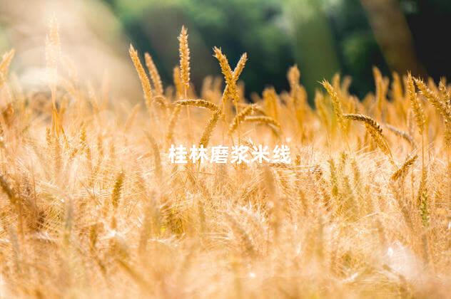 桂林磨浆米线