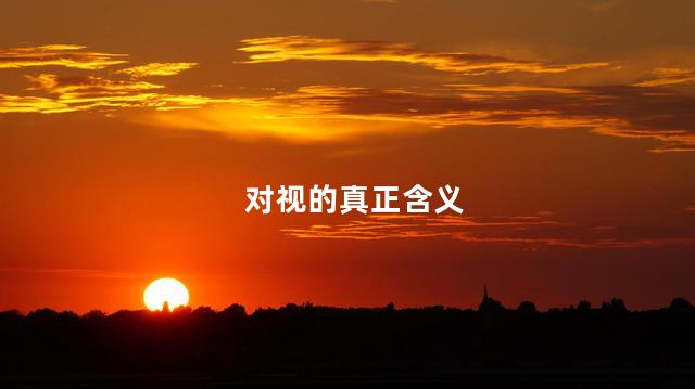 对视的真正含义