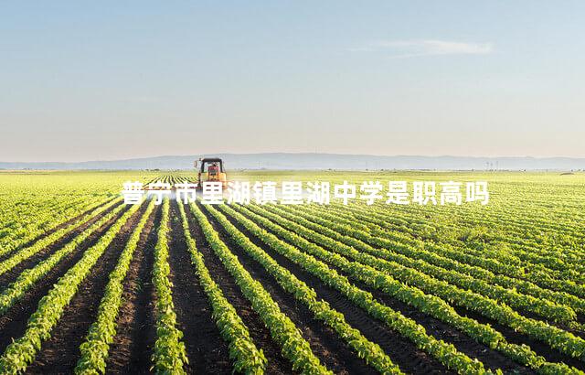普宁市里湖镇里湖中学是职高吗