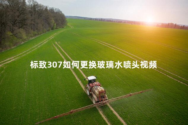 标致307如何更换玻璃水喷头视频
