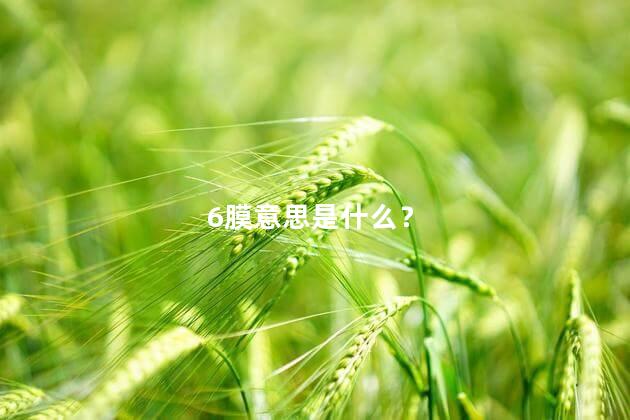 6膜意思是什么？