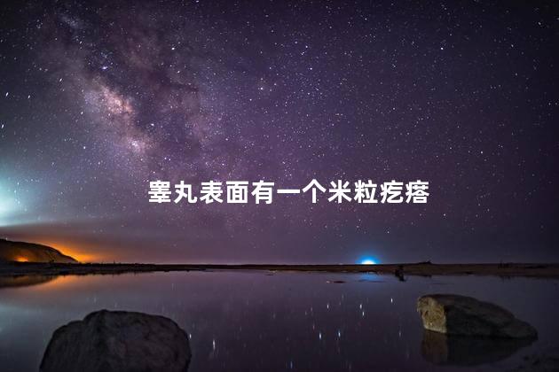 睾丸表面有一个米粒疙瘩