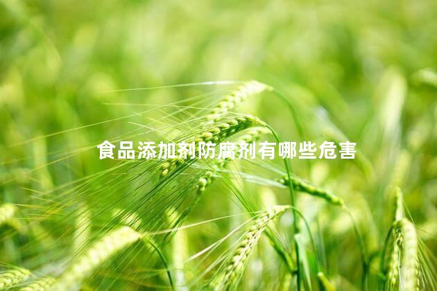 食品添加剂防腐剂有哪些危害