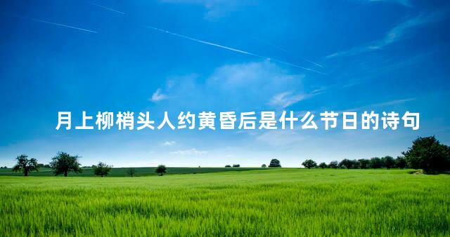 月上柳梢头人约黄昏后是什么节日的诗句