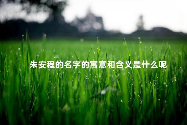 朱安程的名字的寓意和含义是什么呢