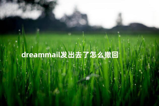 dreammail发出去了怎么撤回