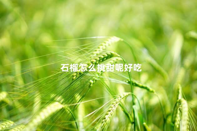 石榴怎么挑甜呢好吃