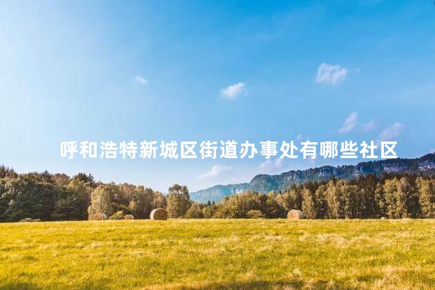呼和浩特新城区街道办事处有哪些社区