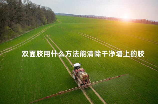 双面胶用什么方法能清除干净墙上的胶