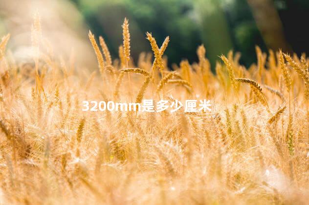 3200mm是多少厘米