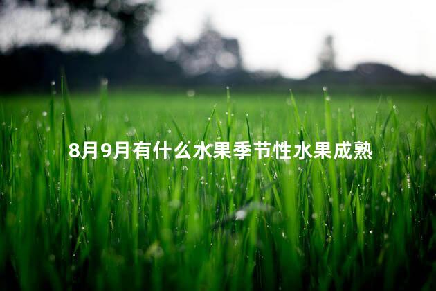 8月9月有什么水果季节性水果成熟