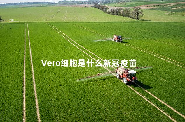 Vero细胞是什么新冠疫苗