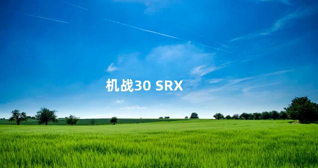 机战30 SRX