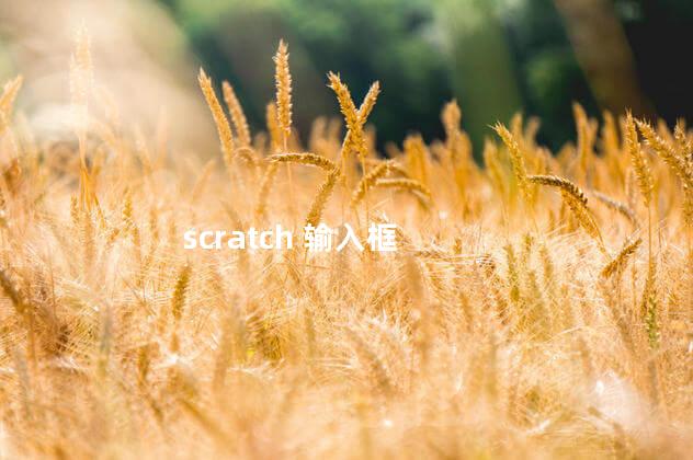 scratch 输入框