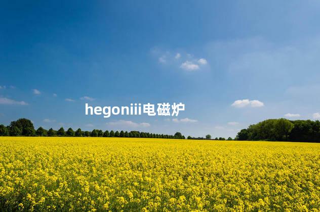 hegoniii电磁炉