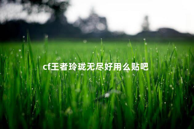 cf王者玲珑无尽好用么贴吧