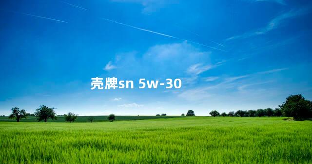 壳牌sn 5w-30