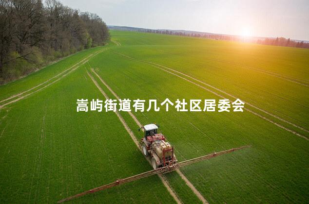 嵩屿街道有几个社区居委会