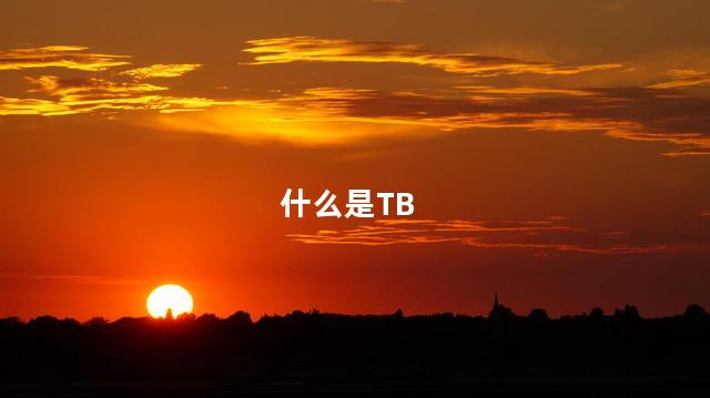 什么是TB