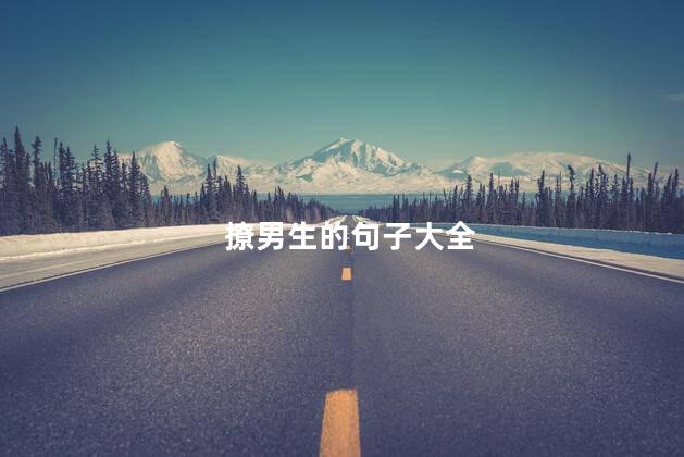 撩男生的句子大全