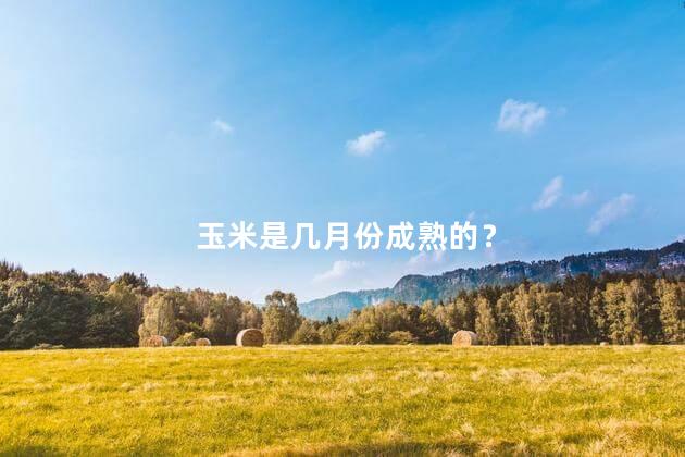 玉米是几月份成熟的？