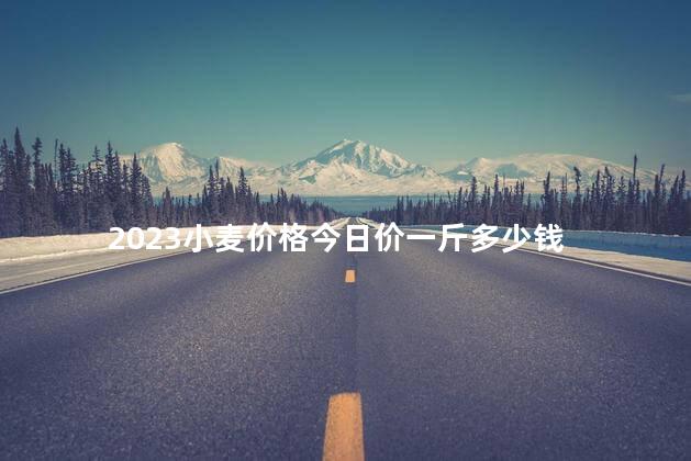 2023小麦价格今日价一斤多少钱