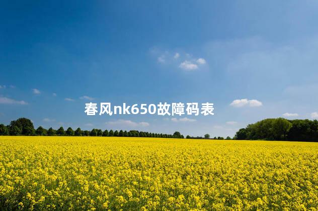 春风nk650故障码表