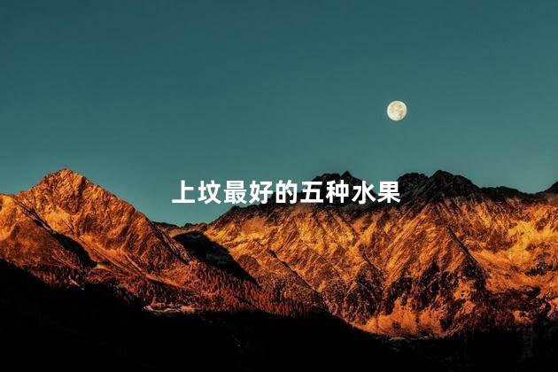 上坟最好的五种水果