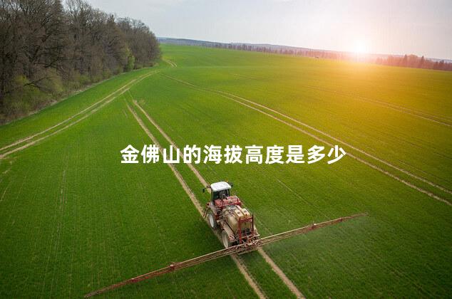 金佛山的海拔高度是多少