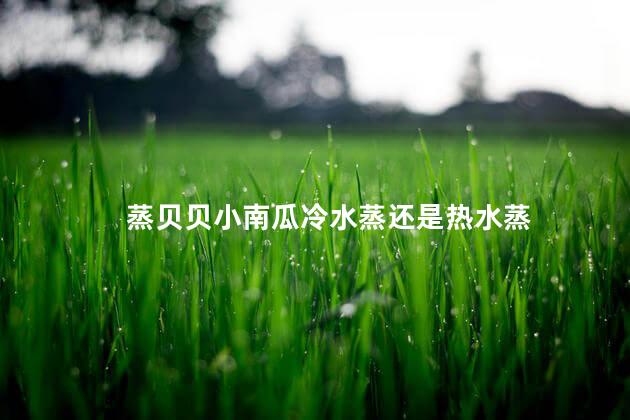 蒸贝贝小南瓜冷水蒸还是热水蒸