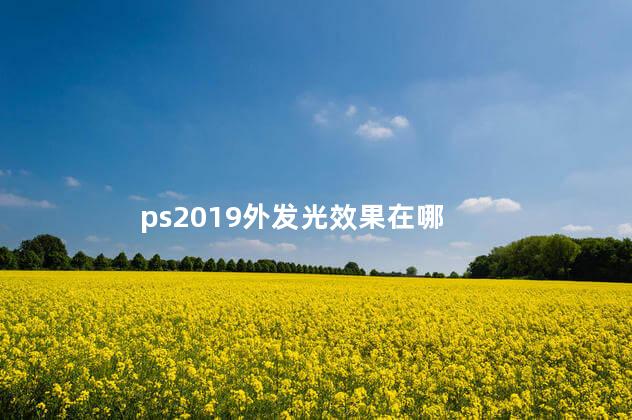 ps2019外发光效果在哪