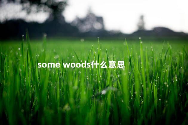 some woods什么意思