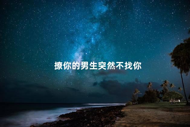 撩你的男生突然不找你