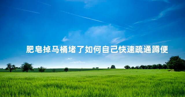 肥皂掉马桶堵了如何自己快速疏通蹲便