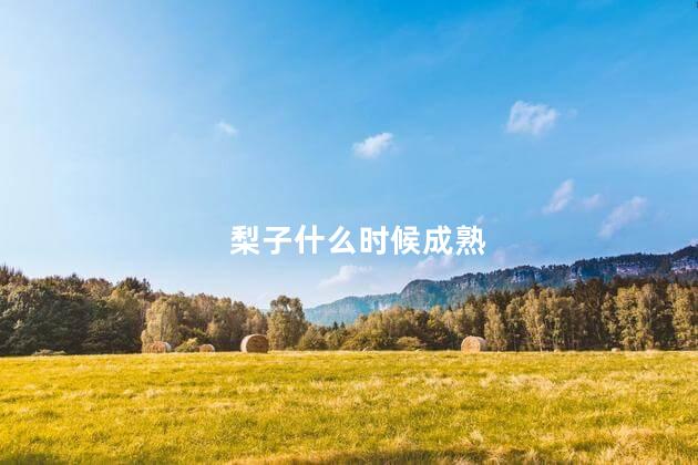 梨子什么时候成熟