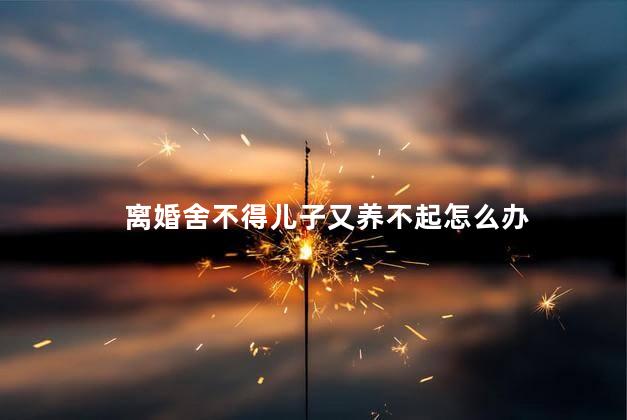 离婚舍不得儿子又养不起怎么办