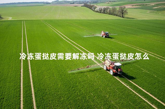 冷冻蛋挞皮需要解冻吗 冷冻蛋挞皮怎么烤制