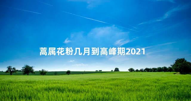 蒿属花粉几月到高峰期2021