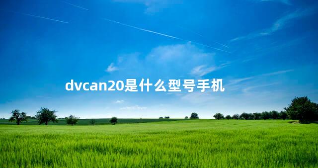 dvcan20是什么型号手机